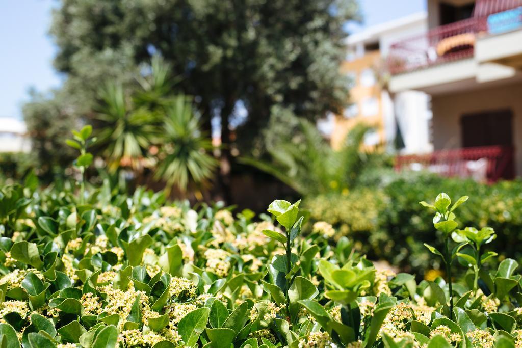 S'Arena Bianca Apartment Alghero Eksteriør billede